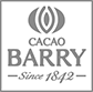 Cacao Barry levels.png