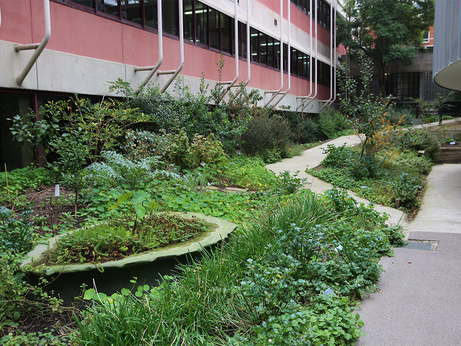 Image-2-William-Angliss-Institute.jpg
