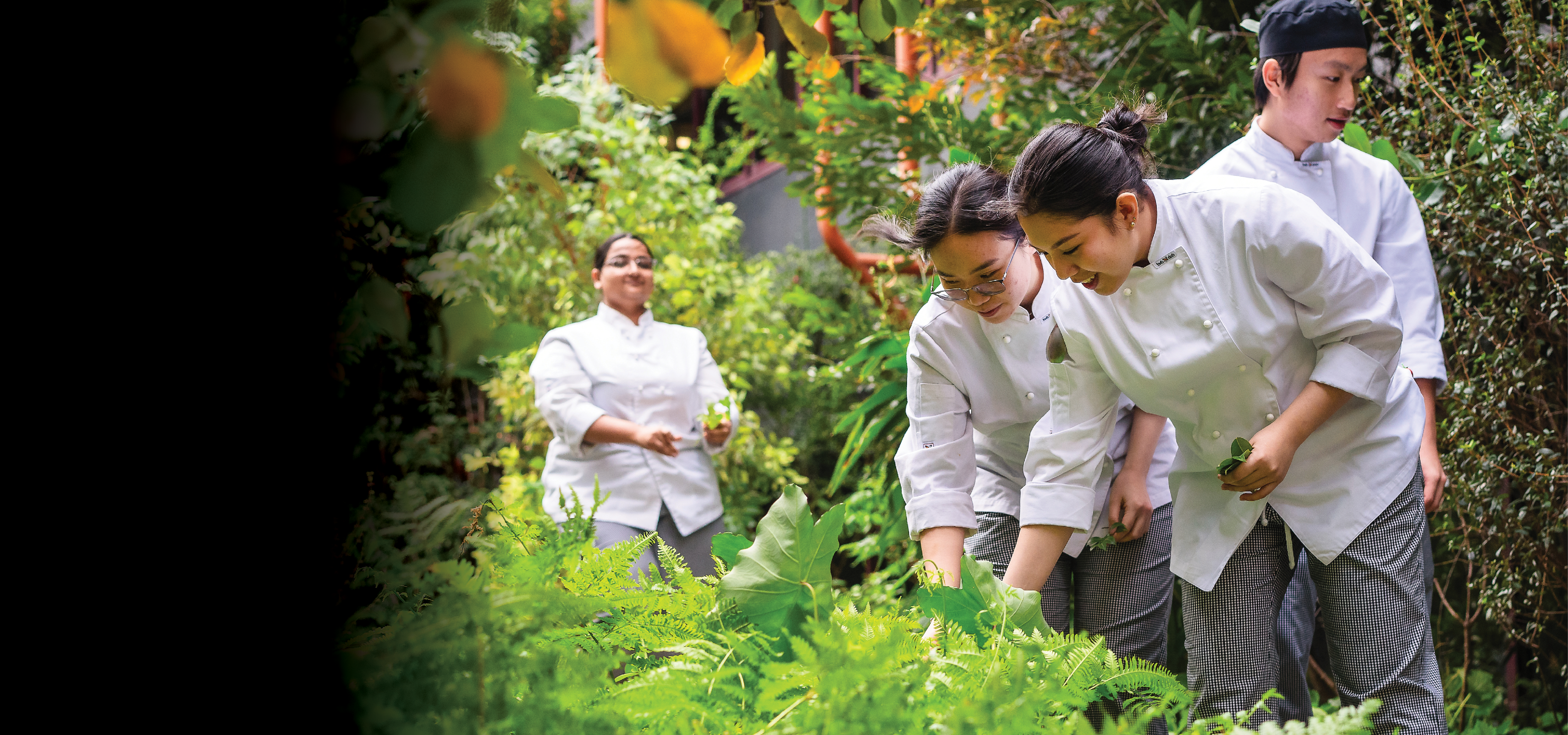 Associate Degree in Culinary Management